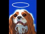 Dog Consciousness Print